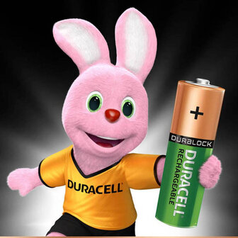 Duracell AA batterijen oplaadbaar