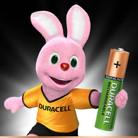 Duracell oplaadbare batterijen AAA